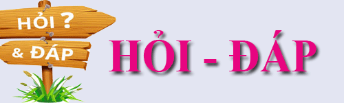 hOI