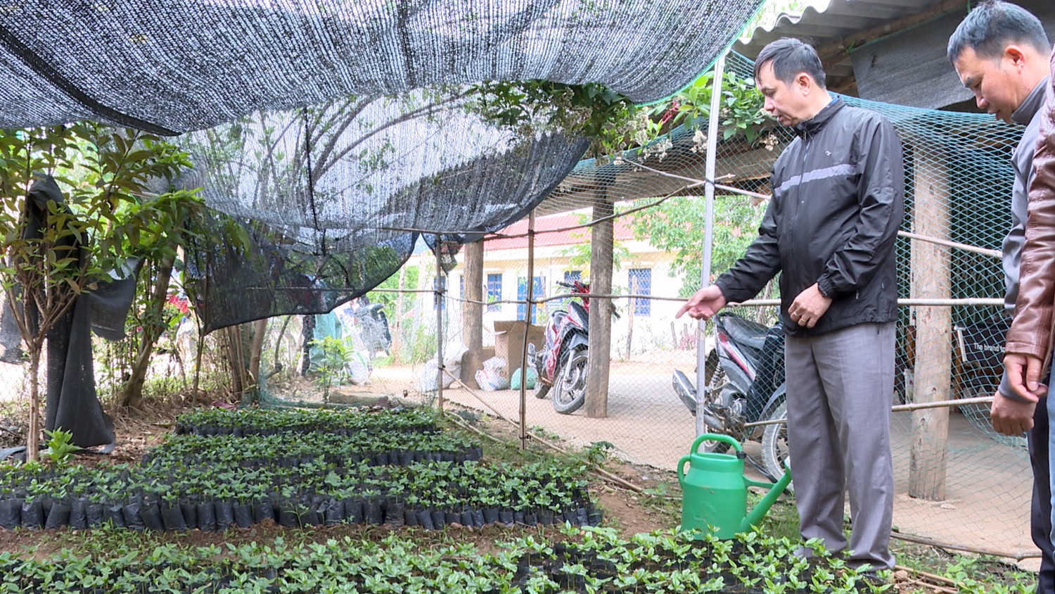 kiểm tra vườn ươm cà phê tại xã Pú Xi